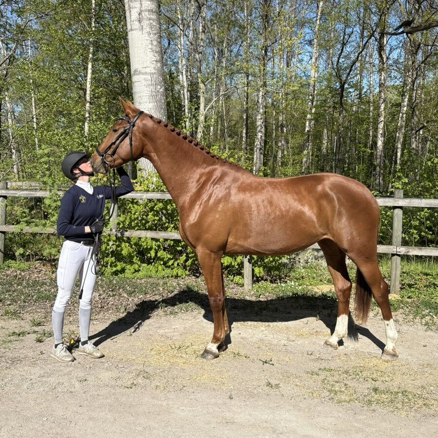 Jenny Glebenius och Canela i en lugn stund
